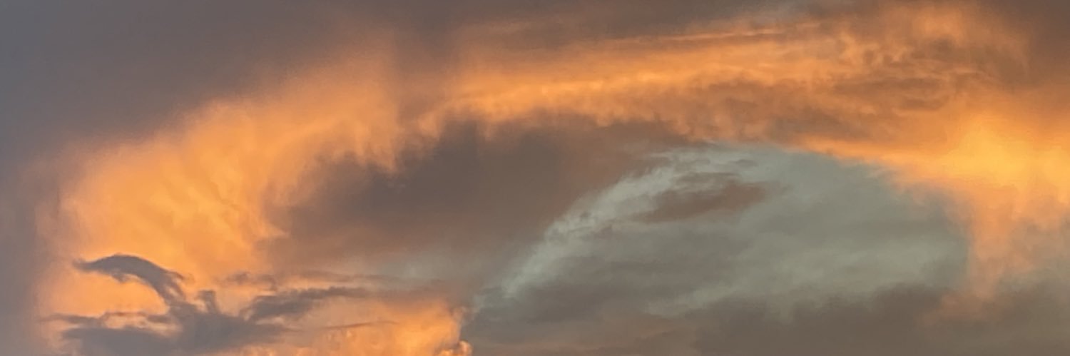 zorach's profile banner image