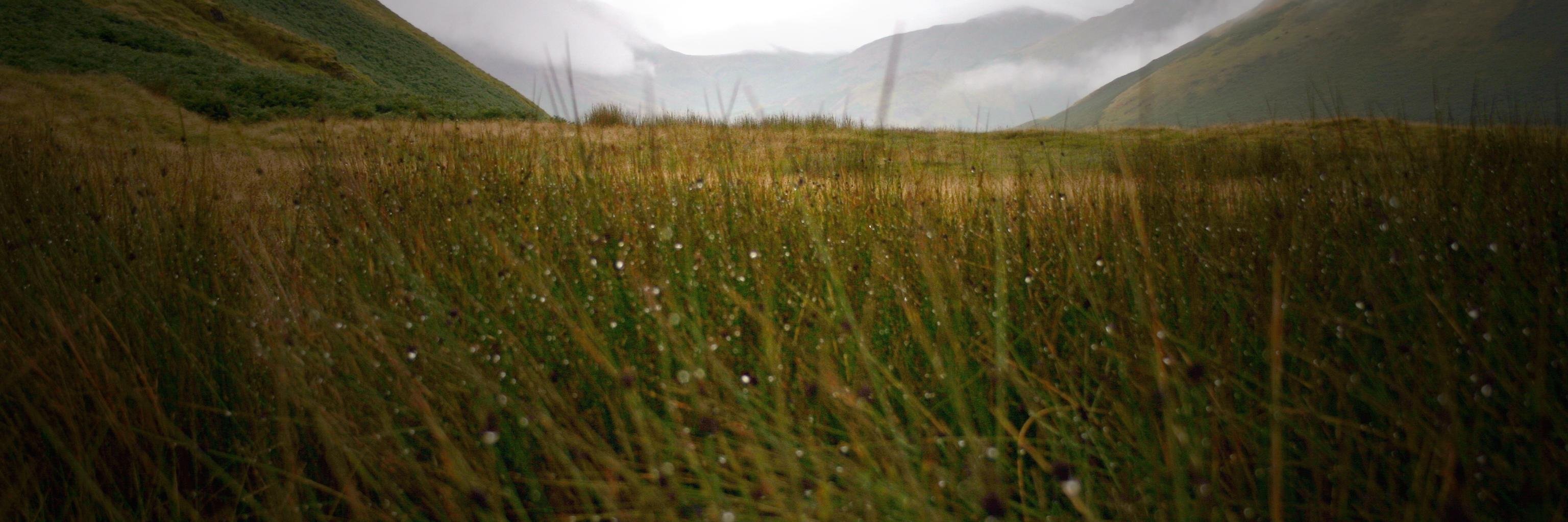 Agustin del Prado banner