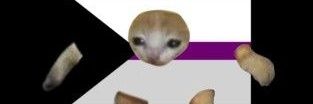 muitocansadaaaa's profile banner image