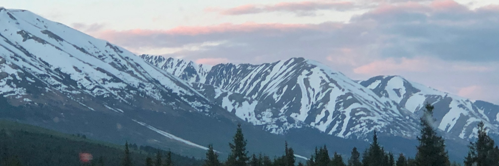lamargreen4's profile banner image