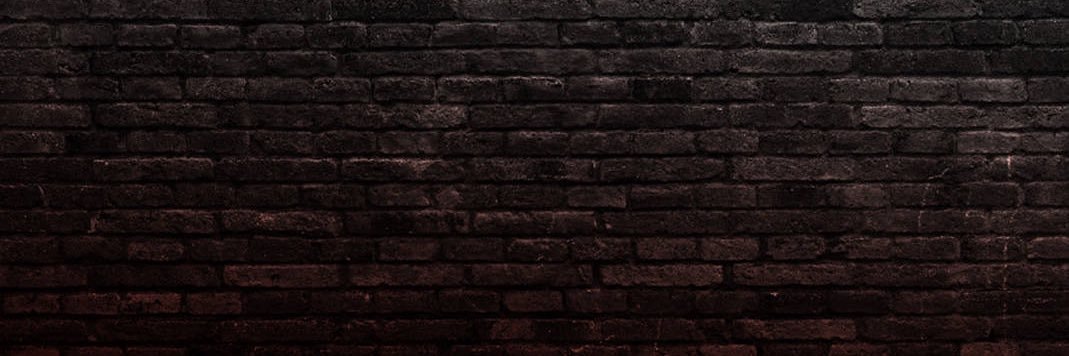Cat in a Box's banner
