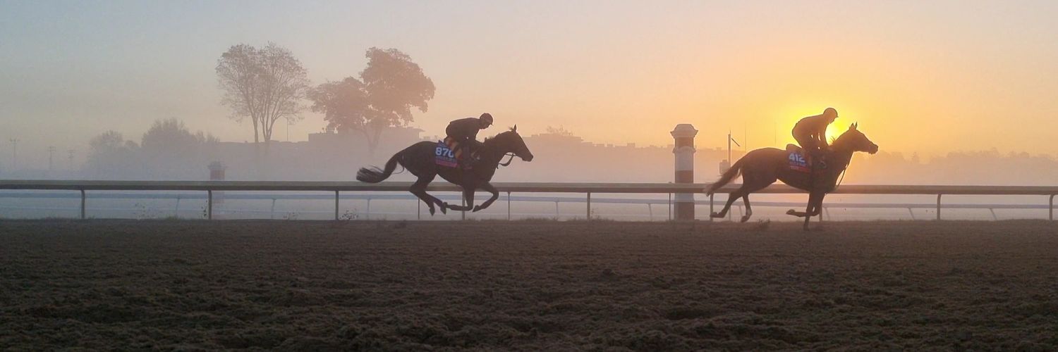 Nicole Liebenberg banner