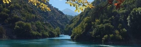 daminiaroraa Profile Banner