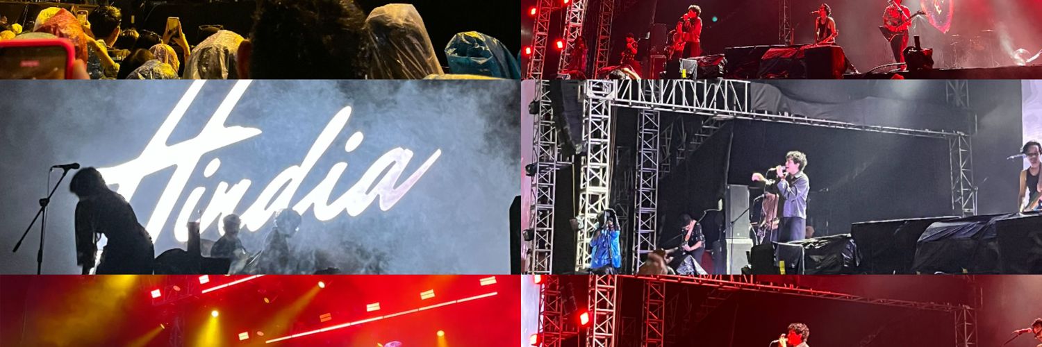 noveli banner