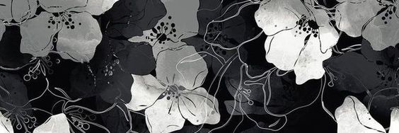 echoyla's profile banner image