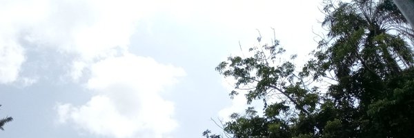 DAMIAN_DMF Profile Banner