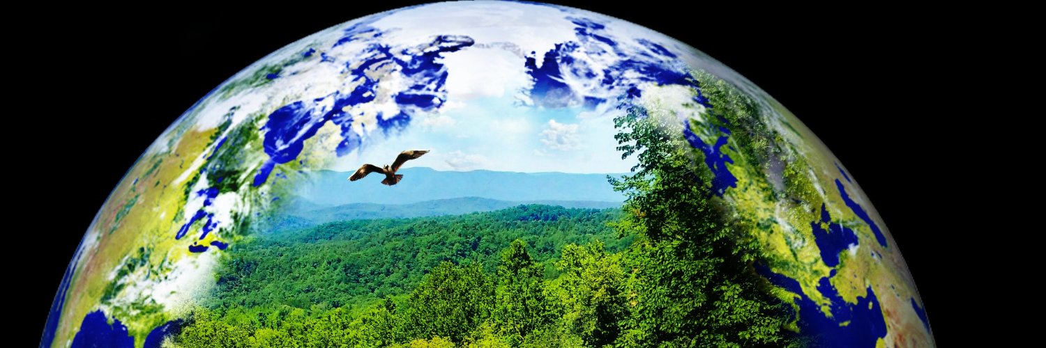 UoN Environment Club banner