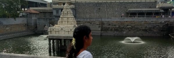 Lakshutwits Profile Banner