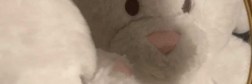 Lotty_LHS's profile banner image