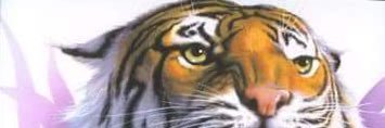 doucet13_robert's profile banner image