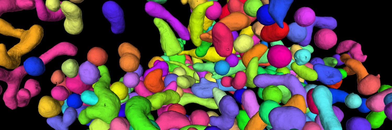 CellMap Project Team banner