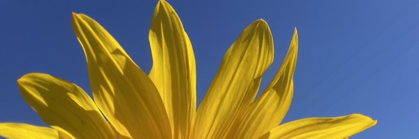 Rafapiinheiiroo Profile Banner