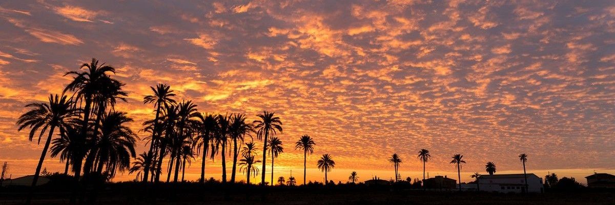 _sole01_'s profile banner image