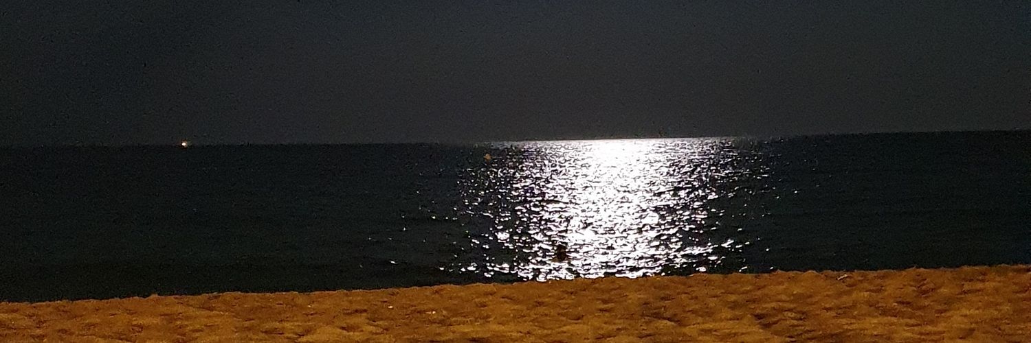 Ricardolmt's profile banner image