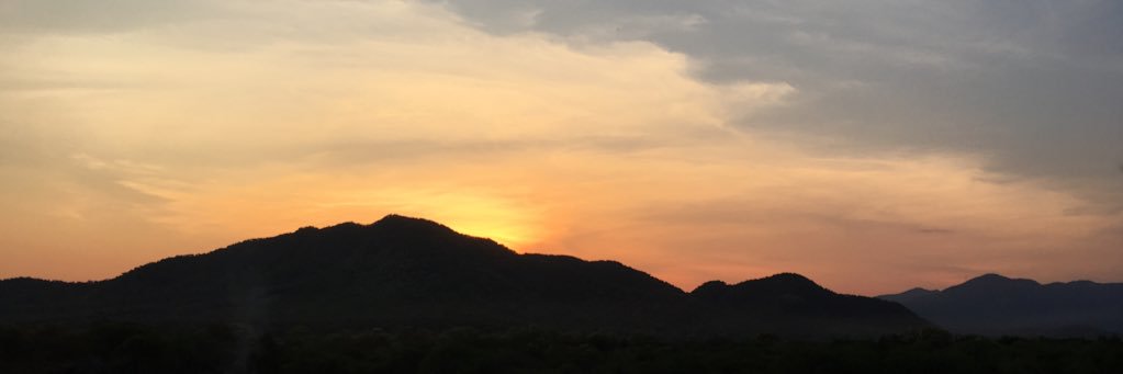 jandraly's profile banner image