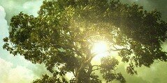 ByeBebeb's profile banner image