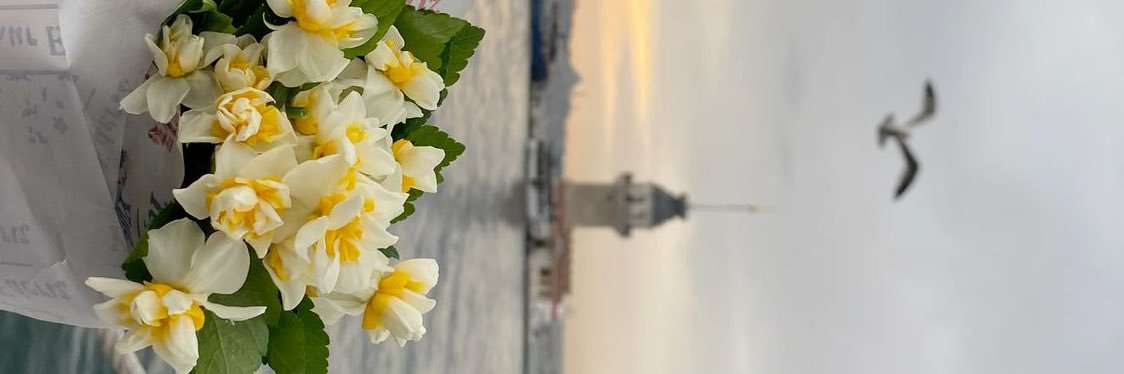 ahmetdnkt_'s profile banner image