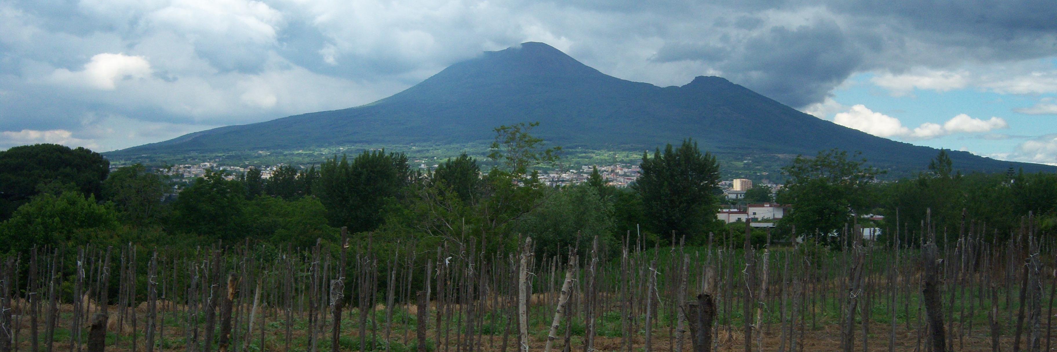 Sarah CrawfordParker banner