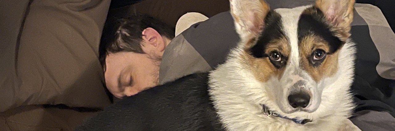 PupRiku's profile banner image