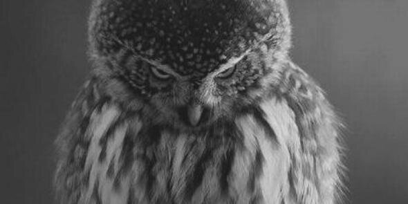 Francisco__cc's profile banner image