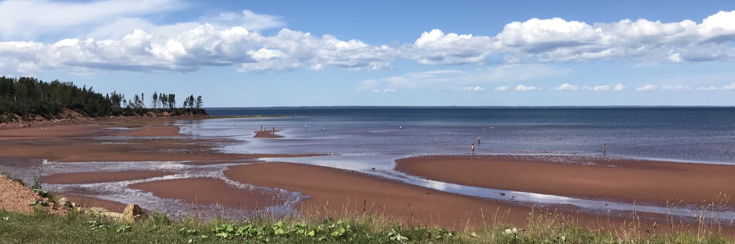 Beth Fox (she/her) banner