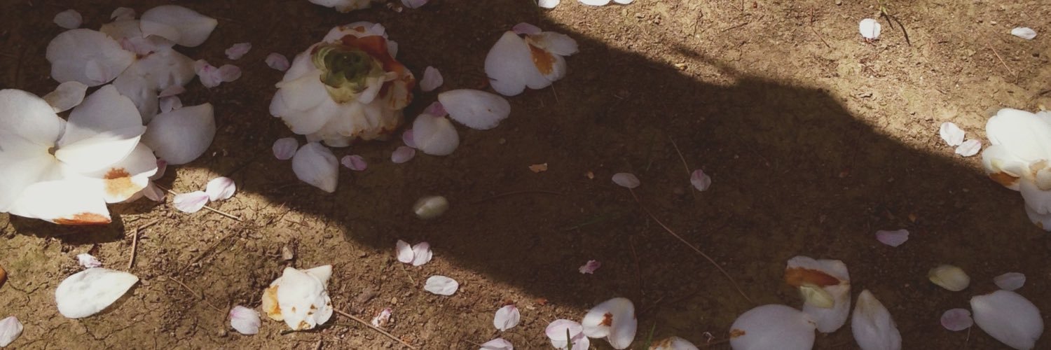 mbsseon's profile banner image