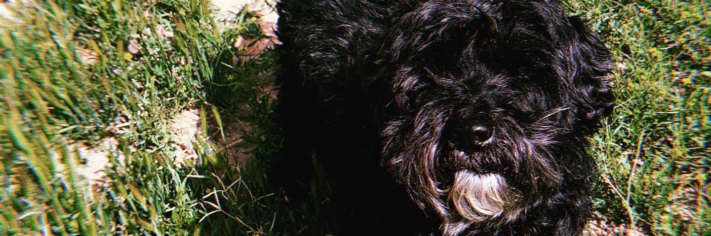 _Kevvn_'s profile banner image