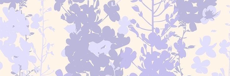unknowtitle's profile banner image