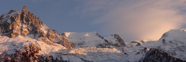 MFLMusings Profile Banner