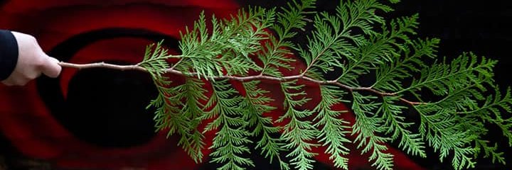 CapU Indigenous banner