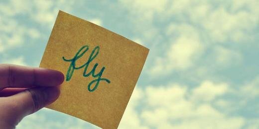 cariocadafly banner