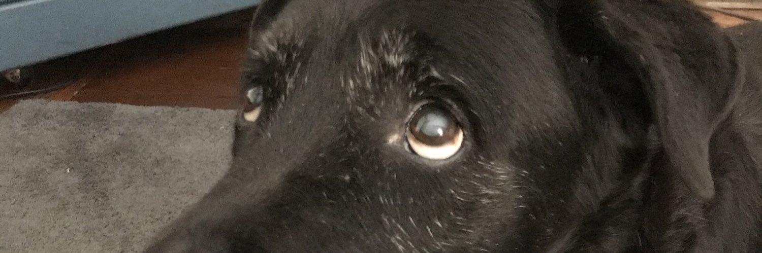 ellceeare's profile banner image