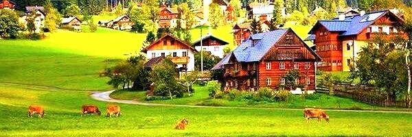 GsRuba's profile banner image