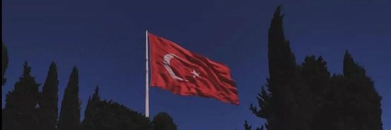 sulecylnn's profile banner image