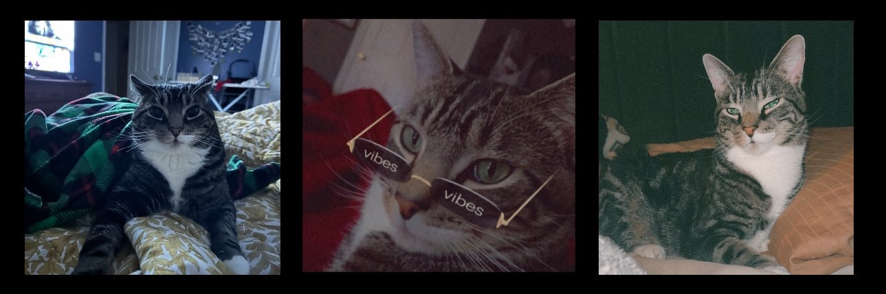 madisonchase69's profile banner image