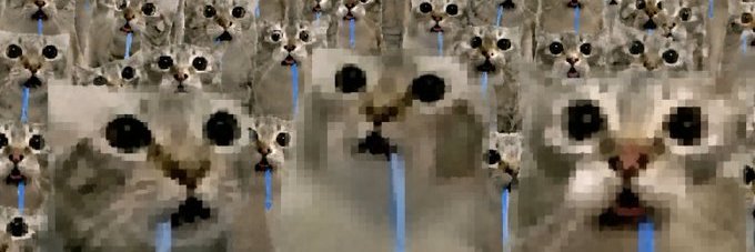 ignEvenCobra's profile banner image