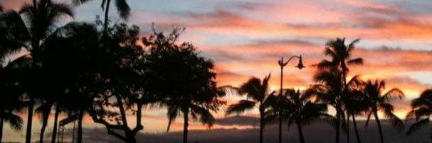 GuoAloha's profile banner image