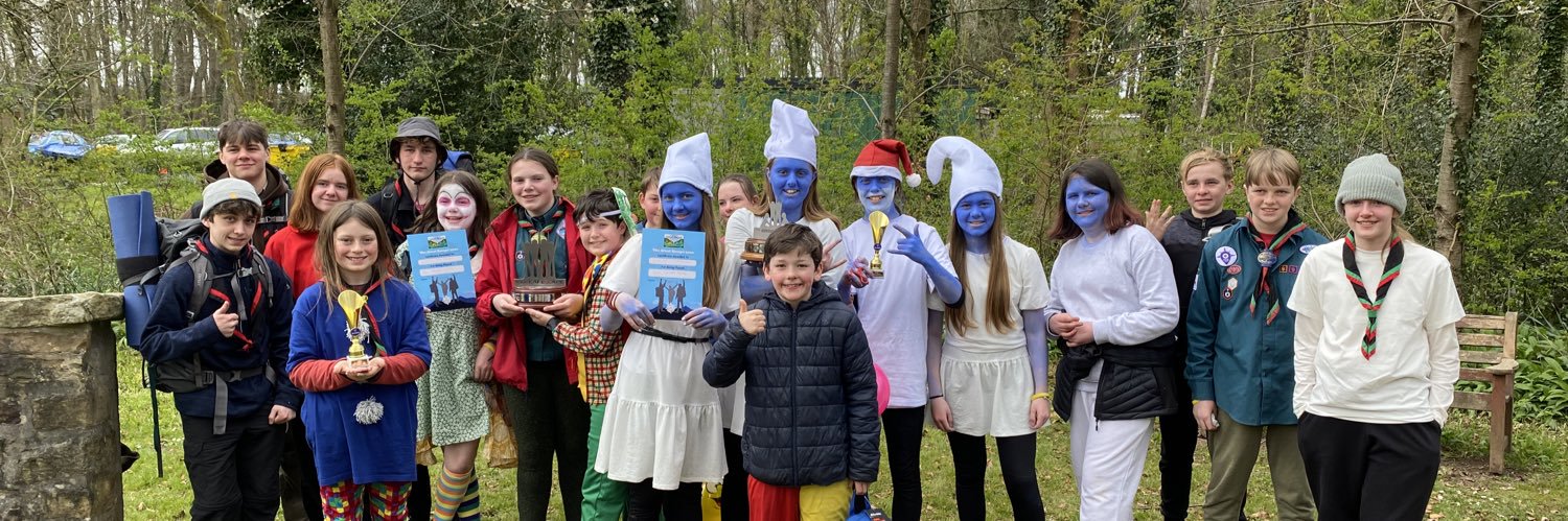 26th Picton Scouts banner