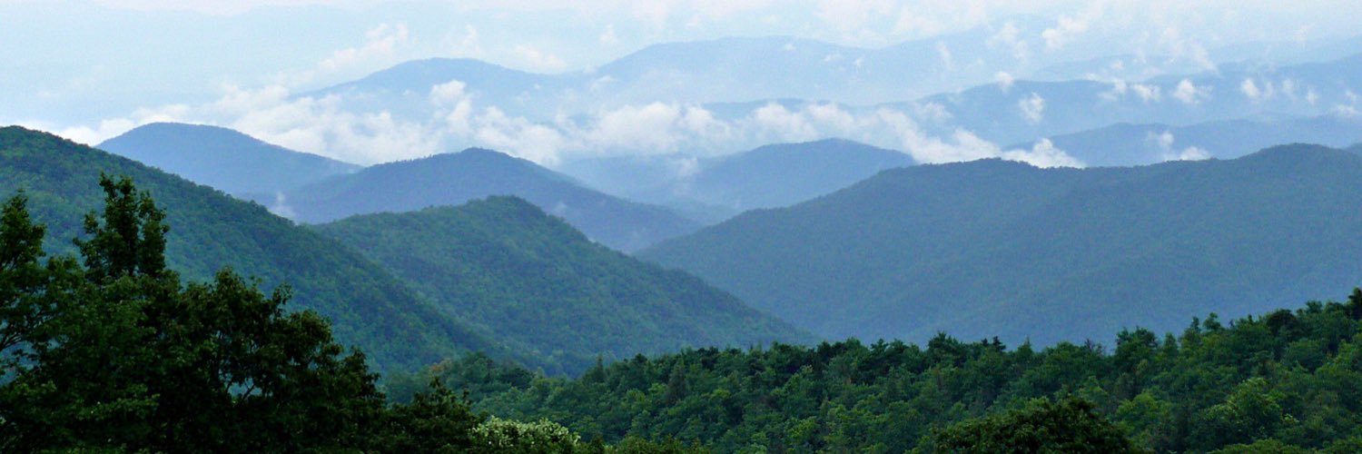 Aaron Deal banner