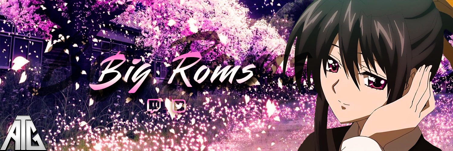 Big_Roms's profile banner image