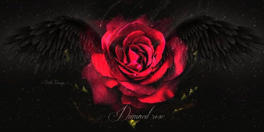 AgunkAbdiel's profile banner image