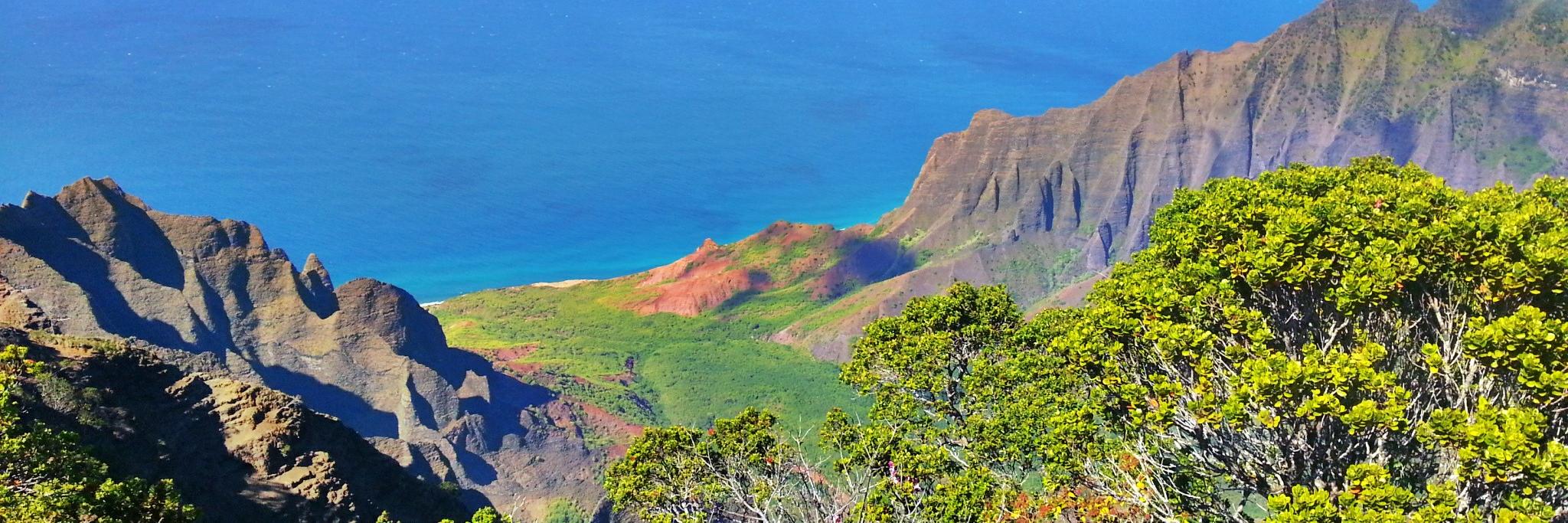 Jonathan Bacon banner