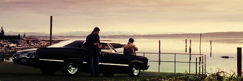 mellow_army's profile banner image