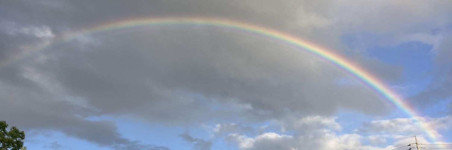 manatumari's profile banner image