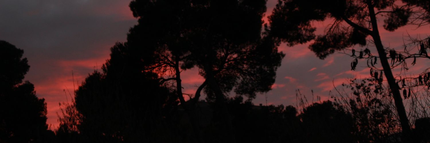 paradiigmatica's profile banner image