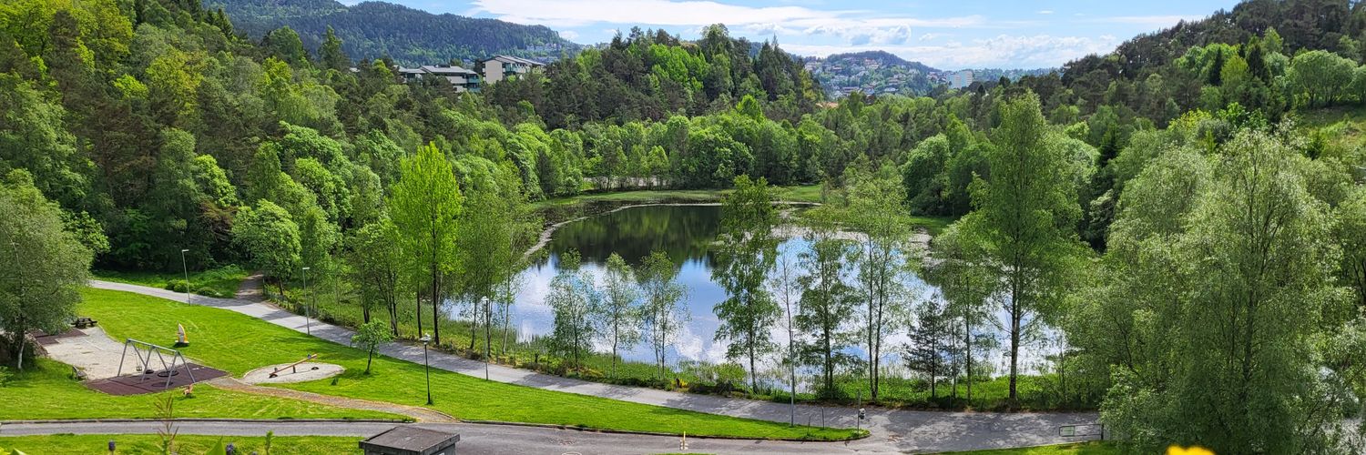 Matt Platerre banner