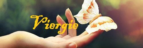 viergies's profile banner image
