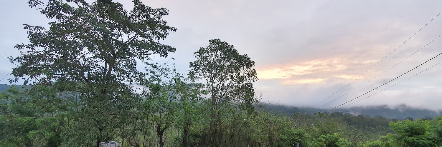 Prof. Dimas Sagahón banner