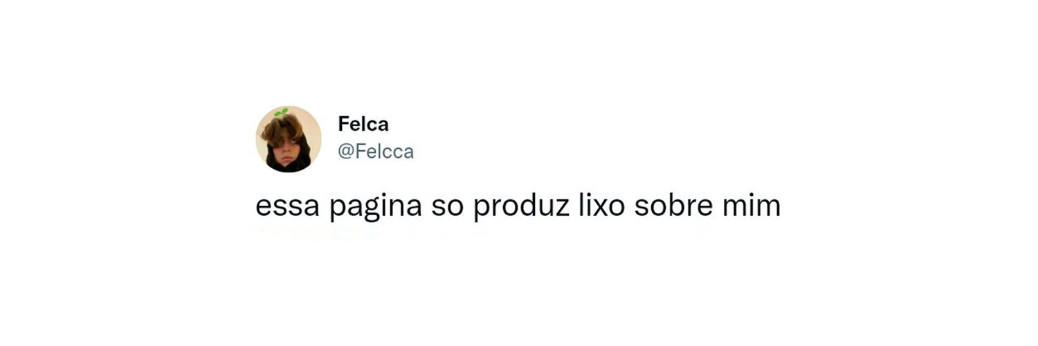 out of context felca #seita's banner