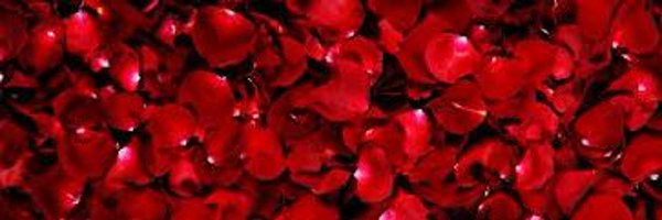 REDRIDINGWH0RE Profile Banner